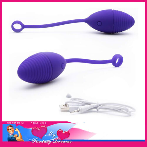 Dancing Egg | 10 Speed Usb Vibrator Pelvic Floor Trainer Sex Toy Purple
